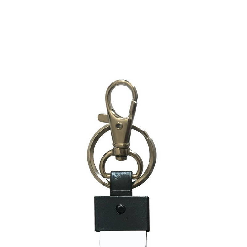 Handy Key ring with hook 2